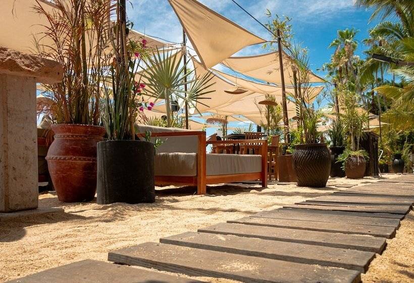 استراحتگاه La Concha Beach Hotel & Club