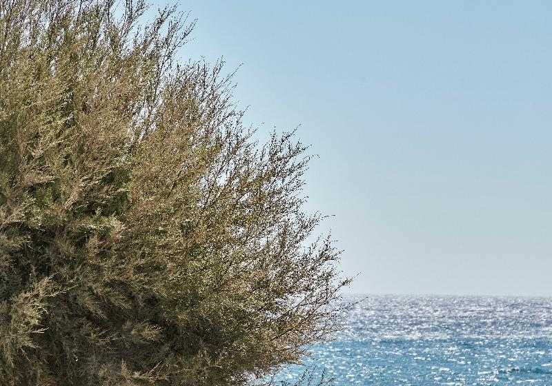 هتل Nikki Beach Resort & Spa Santorini