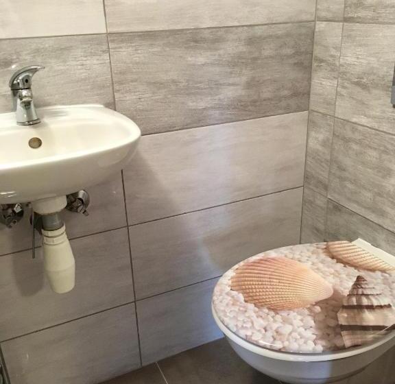 پانسیون Ubytovani Haasova