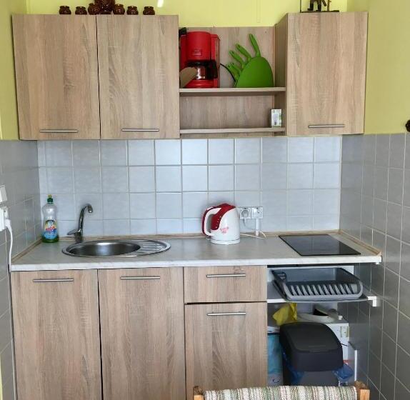 پانسیون Ubytovani Haasova