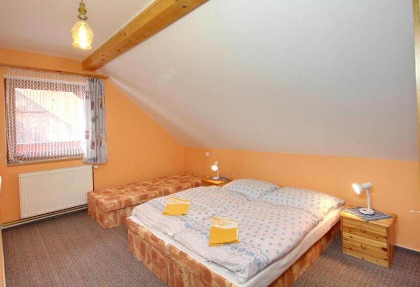 پانسیون Ubytovani Haasova