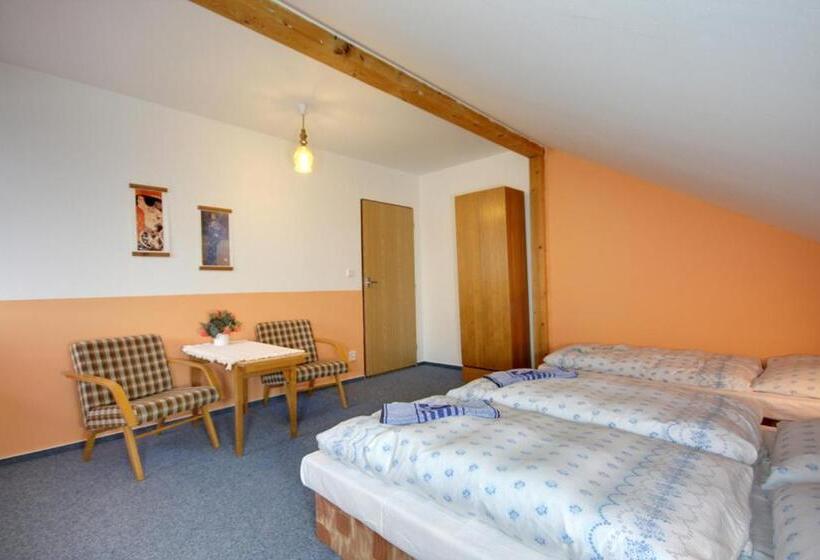 پانسیون Ubytovani Haasova