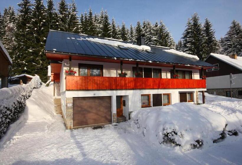 پانسیون Ubytovani Haasova