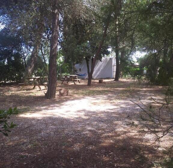 فندق Agriturismo Vignavecchia