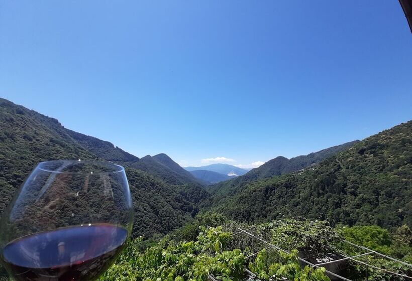 호텔 B&b La Locanda Del Cinghiale