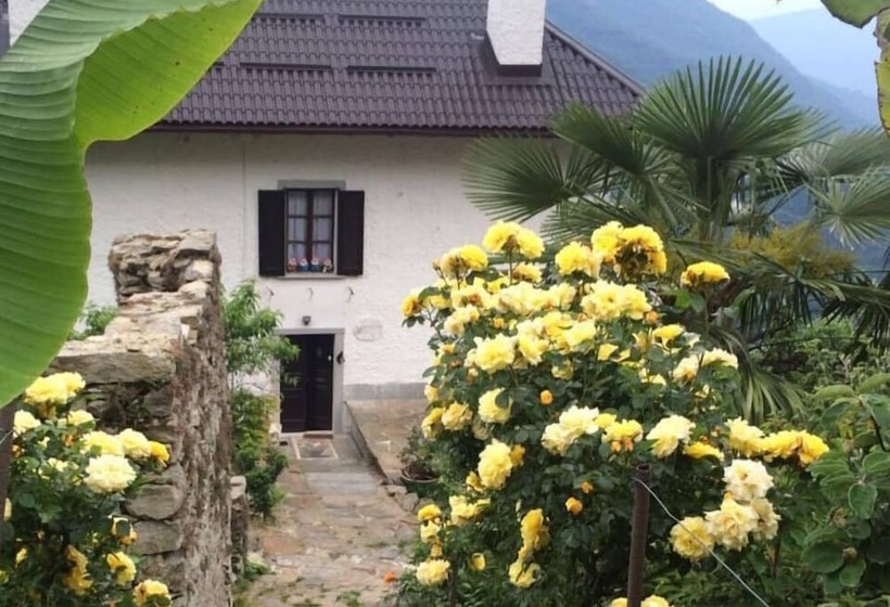 호텔 B&b La Locanda Del Cinghiale