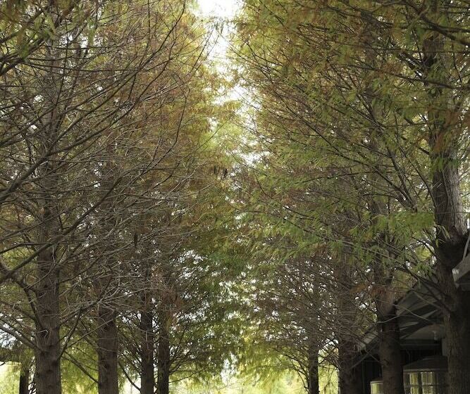 هتل Urarakana B&b