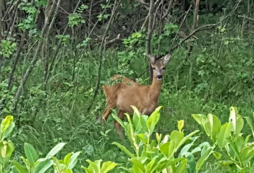 فندق B&b Ca'suana