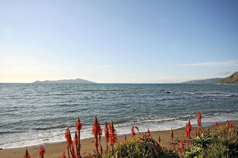 בית מלון כפרי Kapiti Waves Bed & Breakfast
