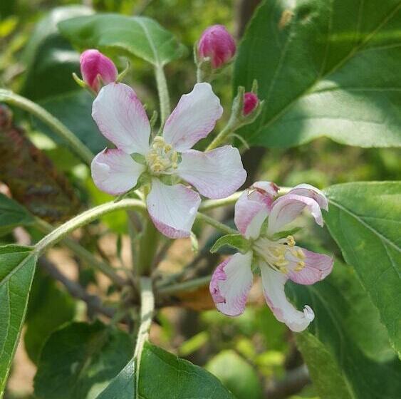 هتل Mount Tai Wu Cozy