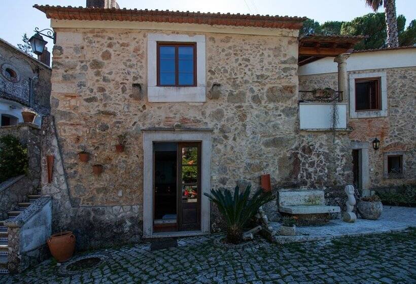 فندق Quinta De Rio Alcaide