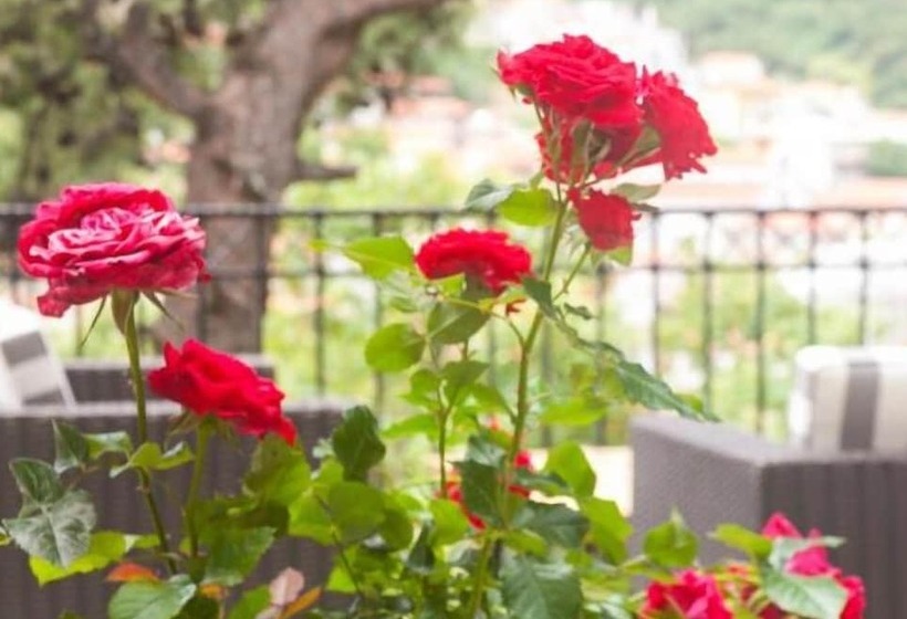 בית מלון כפרי Steni