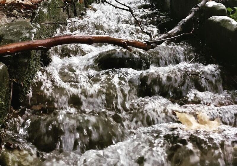 בית מלון כפרי Steni