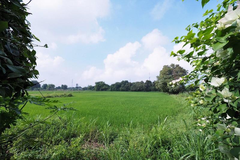 فندق Sweet Inn Resort