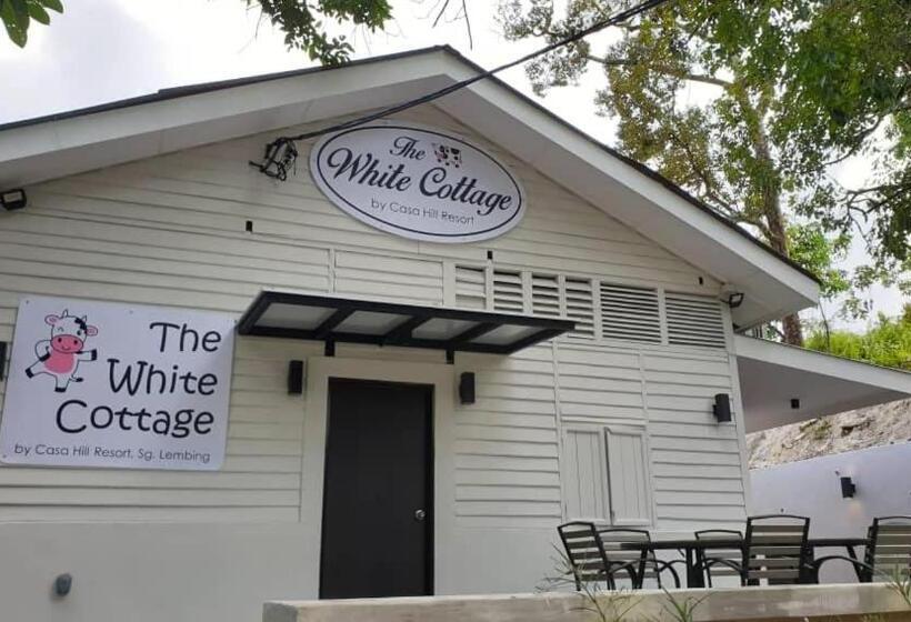 فندق Casa Hill Resort