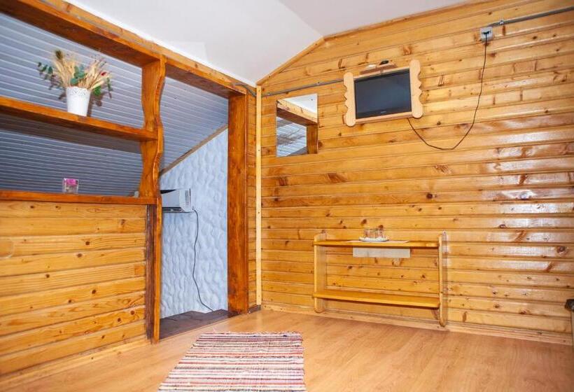 پانسیون Casa Lazaroiu