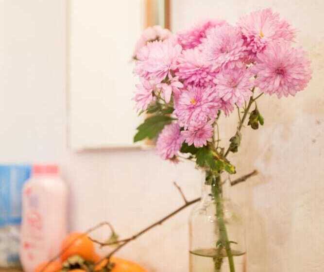 بنسيون Guesthouse Anthut