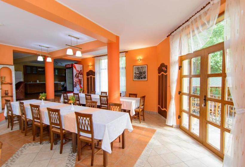 פנסיון Medve Desag Ursul