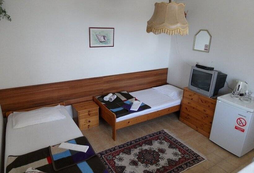 بنسيون Guest House Lidus