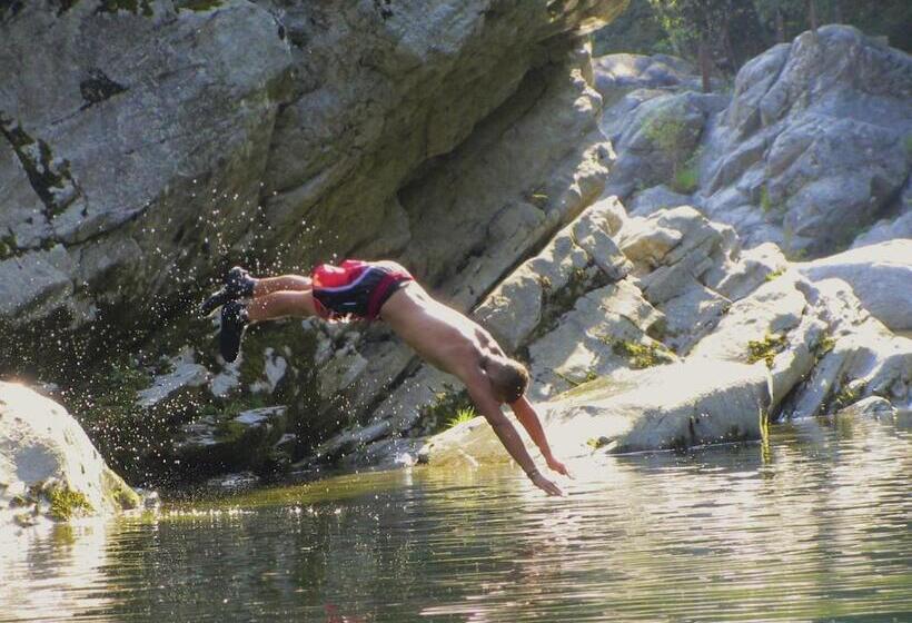 فندق صغير Baracca Backpacker