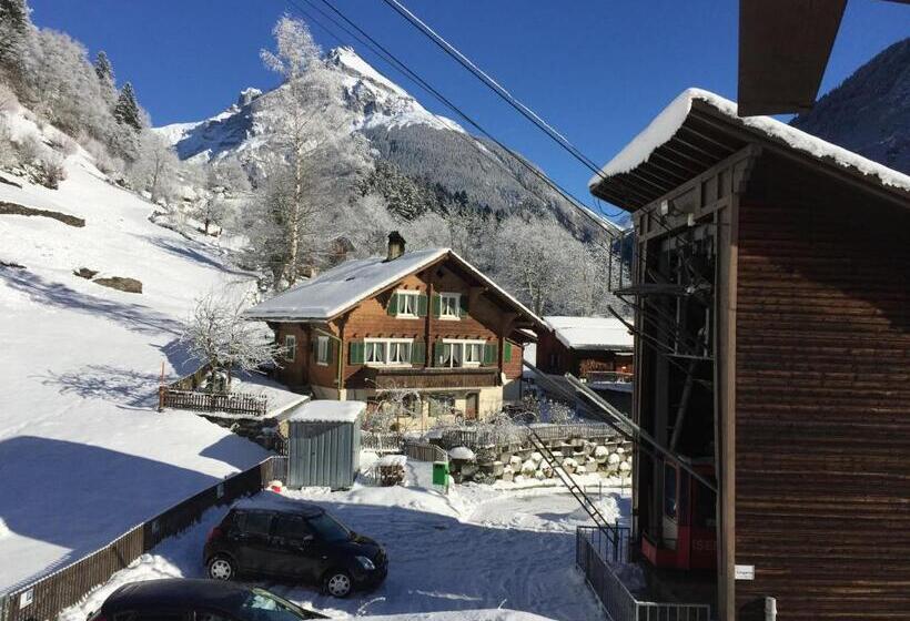 فندق صغير Gästehaus Schäfli