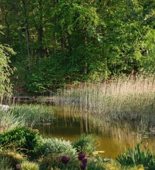 הוסטל Mühle Tornow Am Wentowsee