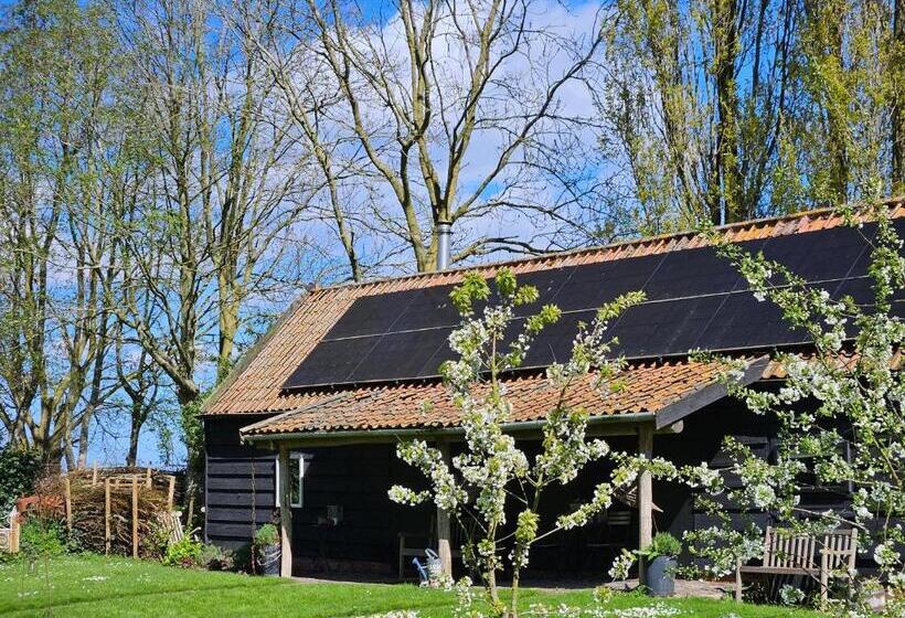 ベッドアンドブレックファースト De Zeeuwsche Hoeve