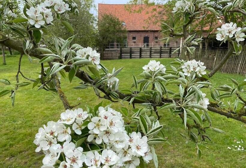 ベッドアンドブレックファースト De Zeeuwsche Hoeve