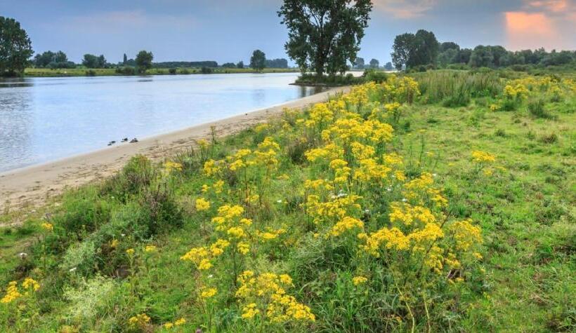 ベッドアンドブレックファースト Het Hart Van Alem