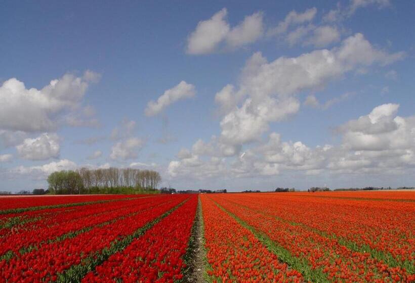 مبيت وإفطار Landgoed Wilgenheerd