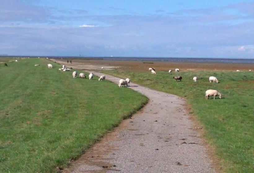 Bed & Breakfast Meinsma