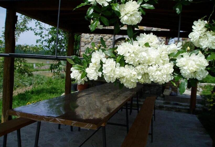 호텔 Agriturismo Podere Micitto