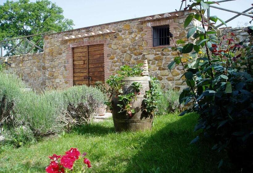 호텔 Agriturismo Podere Micitto