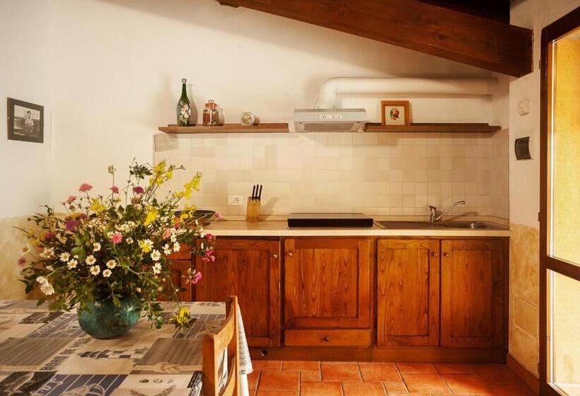 ホテル Agriturismo Podere Mulinaccio