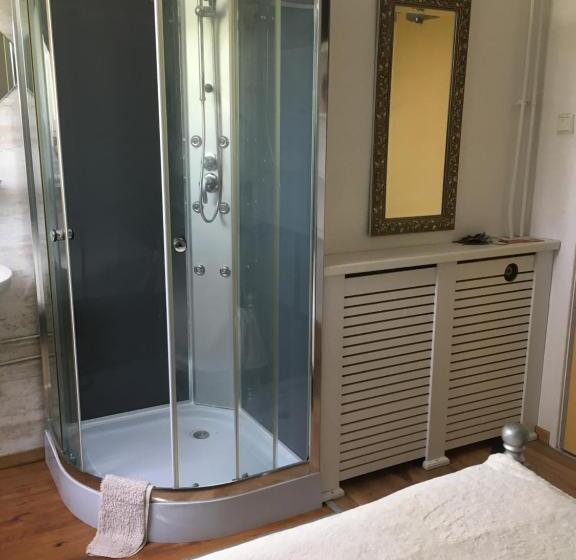 בית מלון כפרי De Zilvermeeuw