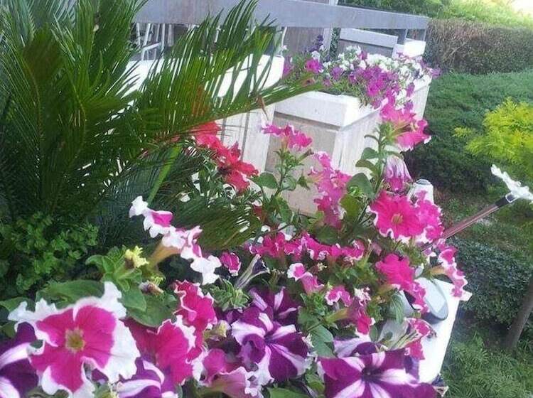 בית מלון כפרי Ferranti