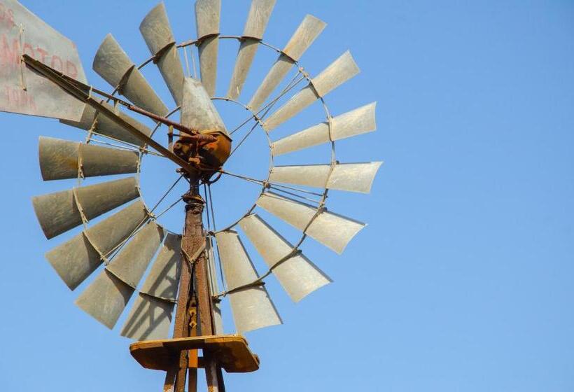 פנסיון Desert Dew Guest House