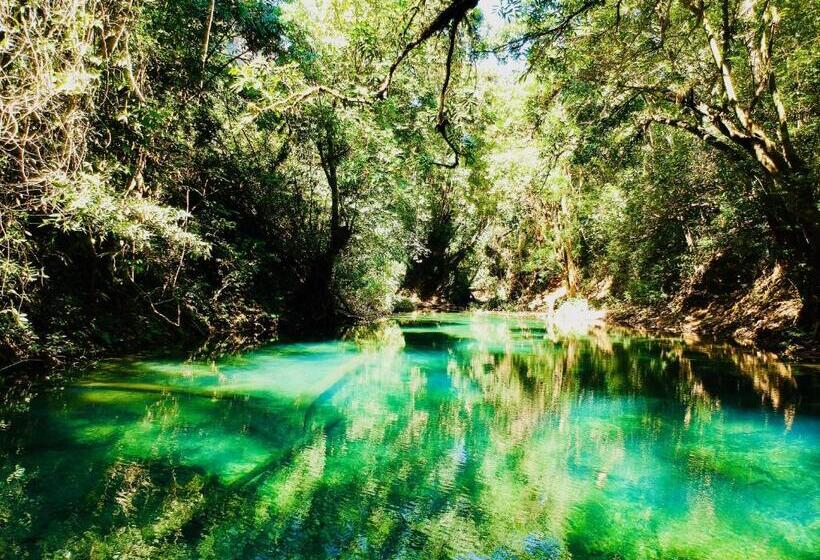 بنسيون Springriver Resort
