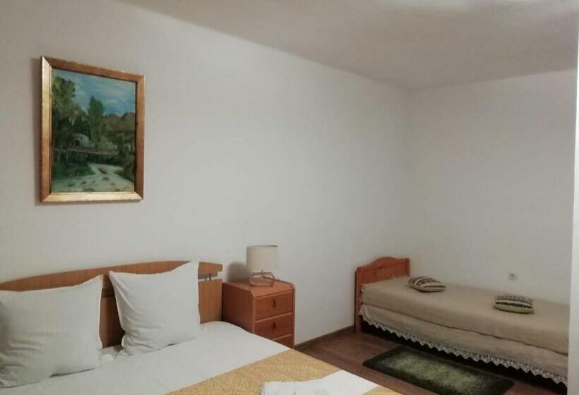 Pensiunea Casa Butnarului