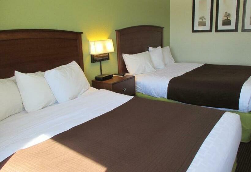 Cobblestone Hotel & Suites   Wisconsin Rapids