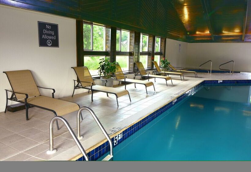 هتل Best Western Plus Flint Airport Inn & Suites