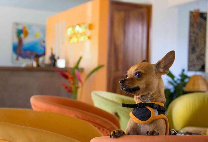 هتل Best Western Posada Chahue