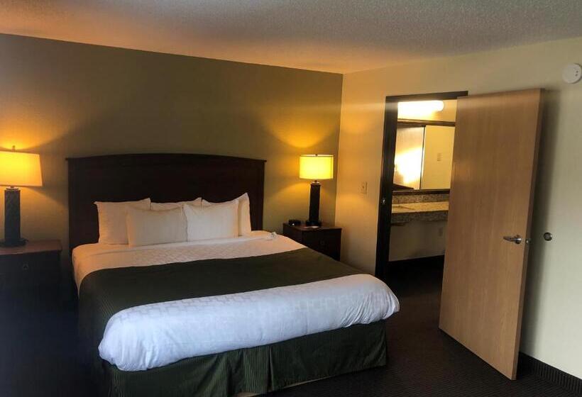 Cobblestone Hotel & Suites   Wisconsin Rapids