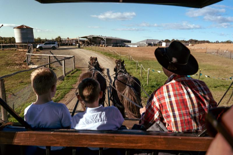 هتل Hunter Valley Resort, Hunter Farm Adventure Centre & 4 Pines At The Farm