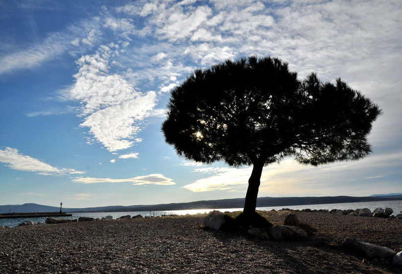 هتل International