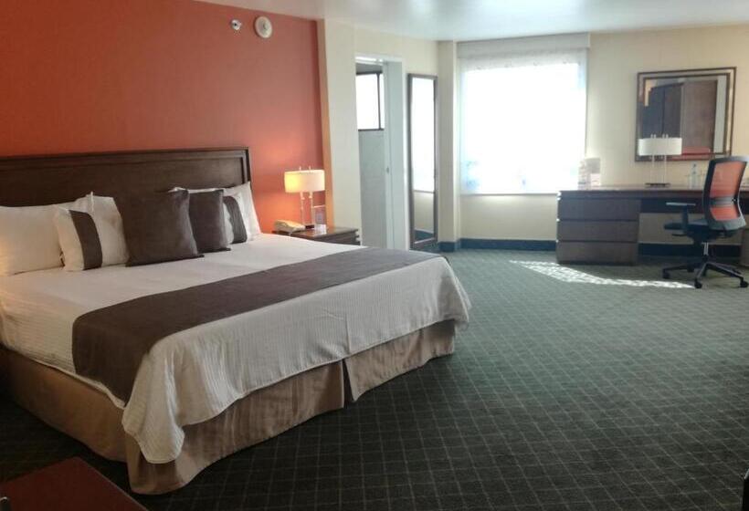 فندق Mision Express Pachuca