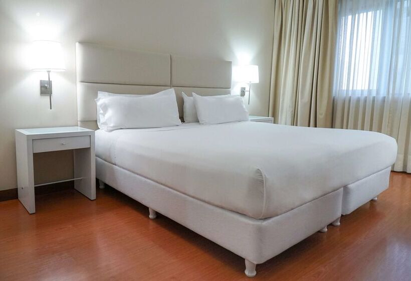 هتل NH Mendoza Cordillera