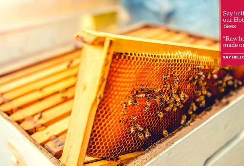 هتل Ramada By Wyndham Essen