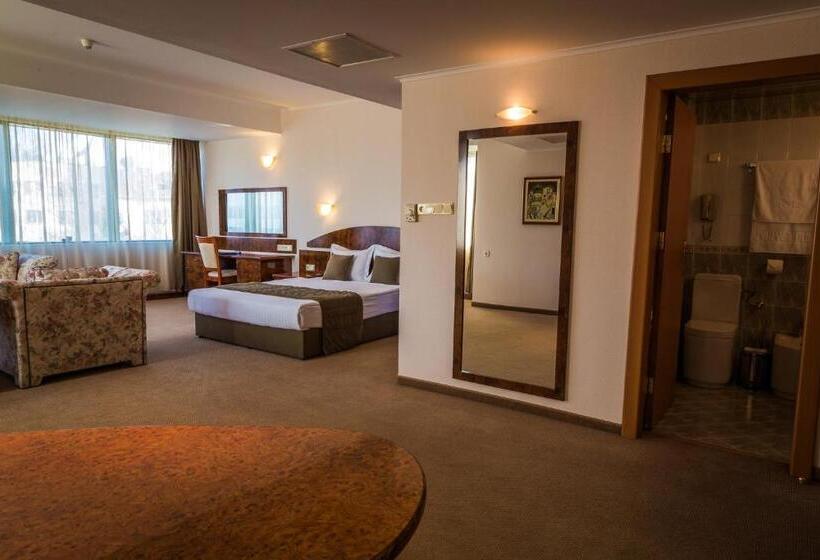 בית מלון כפרי Sevlievo Plaza