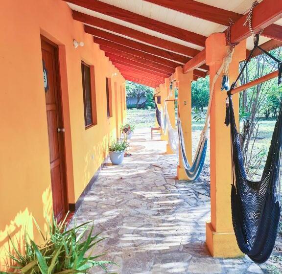 هاستل Surfing Turtle Lodge